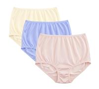 Vanity Fair Classic Ravissant Tailored Brief - Pack of 3-15712