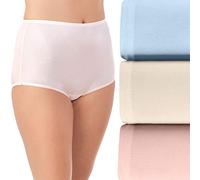 Vanity Fair Women's Underwear Perfectly Yours Traditional Nylon Brief Panties, VASS Blush/Haze Blue/Candleglow, M (Pack of 3)