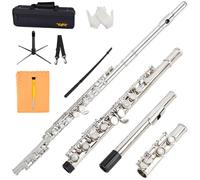 VANPHY Closed Hole C Flute 16 Keys Nickel-Plated Flutes For Beginners Student Flute Instrument With Case Stand Gloves Tuning Rod (Silver)