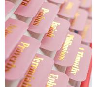 VANRA Bible Tabs for Women Study Bible Journaling Supplies Large Print, 96 Tabs Old and New Testament Studying with Blank Laminated Bible Tabs Pink(Gold Foil Letters, 1.53x1.26 in)