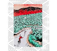 Vans - A2 Poster - jon Horner, Man, Multicolour, Size: One size