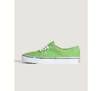 Vans - Authentic Shoes, Man, Green, Size: 5.5