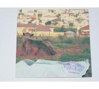 VANS "Off the Wall" Sampler by N/A (1998-01-01)