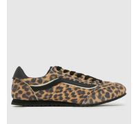 Vans Super Lowpro Leopard Trainers in Print UK 4 (EU 36½)