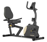VANSWE Recumbent Exercise Bike for Adults Seniors Home Workout and Physical Therapy with 400 LBS Weight Capacity RB912
