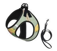 Vanuatu Geographical Features Print Adjustable Reflective Harness Leash Set For Cats, Dogs And Small Pets, Soft Breathable Mesh Walking Vest With Escape-Proof Lead