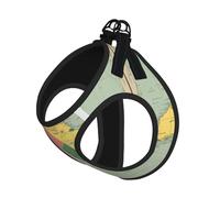 Vanuatu Geographical Features Print Adjustable Reflective Harness Leash Set For Cats, Dogs And Small Pets, Soft Breathable Mesh Walking Vest With Escape-Proof Lead