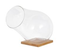 VANZACK 1 Set Elegant Glass Terrarium Holder with Tray for Succulents Clear Indoor Plant Container for Home and Office Decor for DIY Succulent Planters and Indoor Gardens