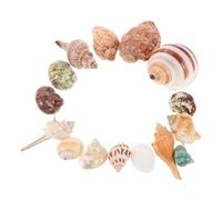 VANZACK 15pcs Decorative Beach Shells Mixed Conch Shells for Aquarium Landscape Ocean Theme Decor for Fish Tanks and Crab Habitats Durable and