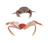 VANZACK 2pcs Mini Crab Figurines Brightly Colored Artificial Ocean Animal for Educational Early Learning Decor Stimulating Visual Development PVC Safe Grip