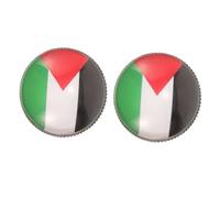 VANZACK 2pcs Palestine Flag Lapel Pin Brooch Metal Badge for Mens Suits Clothes Shawl Accessories Stylish and Versatile Clothing Decoration Gift