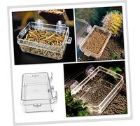 VANZACK 3pcs Reptile Feeding Bowl Cup Clear Anti-escape Feeder Dish for Tortoises Geckos and Snakes Material Easy to Clean and Move