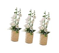 VANZACK 3pcs Scale Simulation Flower Potted Model for Dollhouse Fairy Garden Decor Compact Artificial Greenery for Desk Shelf Ornament