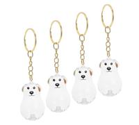 VANZACK 4pcs Dog Hair Collector Keychain Charm Transparent Pet Keepsake Ornament for Hair Storage Memorial Bag Pendant for Travel and Daily Use Innovative Visible Design