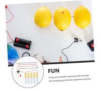 VANZACK 5 Sets DIY Fruit Battery Experiment Kit for Students Educational Science with Potato Lemon for Hands Physics Learning Creative Fruit Clock Kit Enhancing Scientific Knowledge and