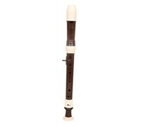 VANZACK Detachable Clarinet for Boys and Girls Easy Cleaning and Portable for Music Lessons and Gifts
