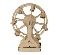 VANZACK Electric DIY Ferris Wheel Science Model for Students Educational Scientific Experiment Kit Without Battery Tool for Analytical and Observation Skills