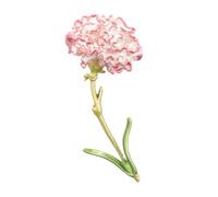 VANZACK Fashionable Pink Carnation Enamel Flower Brooch Alloy Clothes Accessory Elegant Decorative Pin for Sweater Coat Dress Skirt Stylish Corsage Women