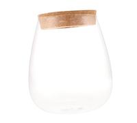 VANZACK Glass Hydroponic Plant Terrarium Elegant Landscape Bottle for Gardens and Home Decor Transparent Bryophyte Container for Moss and Plants