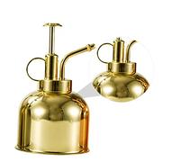 VANZACK Retro Sprinkler Kettle for Succulent Plants Vintage Watering Can Stainless Bottle Pump for Houseplant and Terrarium Care