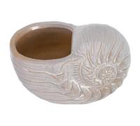 VANZACK Shell Planter Ceramic Plant Pot, Sea Shell Holder for Cacti and Plants, Beige, Ocean Series, for Windowsills and Bookshelves, Indoor Decor for Family