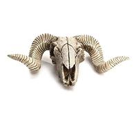 Vaorwne Resin Sheep Head Skull Head Wall Hanging 3D Animal Longhorn Sculpture Figurines Crafts Horns Home Decor Ornaments