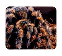 VAPOKF Gaming Mouse Pad, Mexican Red Knee Tarantula Spider Prints Mouse Mat for Desk Home Office, Non-Slip Rubber Base Keyboard Pad, Laptop Desk Pad Mousepad