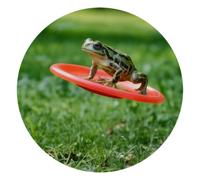 VAPOKF Little Jumping Frog Mouse Pad, 25cm Mouse Mat, Rectangle Gaming Mousepad, Desk Mat with Rubber Base, Desk Pad Laptop for Office and Home