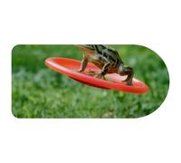 VAPOKF Little Jumping Frog Mouse Pad, 74×35 cm Mouse Mat, Gaming Mousepad, Desk Mat with Rubber Base, Desk Pad Laptop for Office and Home