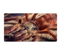 VAPOKF Mexican Red Knee Tarantula Big Spider Kitchen Mat, Non Slip Washable Floor Rug, Absorbent Kitchen Mats Runner Rugs for Kitchen, Hallway, Laundry Room