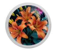 VAPOKF Morning Glory Cupboard Knobs and Handles - 35mm Fluorescence Pull Handle for Wardrobe Furniture Hardware - Two Sizes of Screws Included