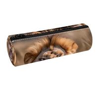 VAPOKF Roaring Lion Print Pencil Cases, PU Leather Pen Bag Student Stationery Organiser Bag Makeup Pouch for Women Girls Boys Kids School Office Supplies