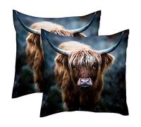 VAPOKF Scottish Highland cOW 2PCS Throw Cushion Covers Soft Velvet Pillow Case Modern Decorative Double-Sided Designs Pillowcase, 50x50cm (Inserts Not Include)