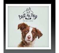 VAR - Lost My Dog 10x10 - 2012