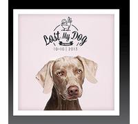 VAR - Lost My Dog 10x10 - 2013