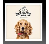 VAR - Lost My Dog 10x10 - 2014