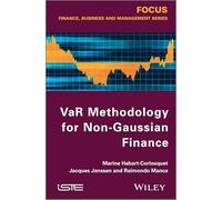 VaR Methodology for Non-Gaussian Finance (Focus in Finance, Business and Management)