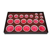 VARFBDAX 20PCS Watch Case Press Set, Aluminum Alloy Bezel Inserts Watch Tool, Professional Watch Repair Kit with 20mm to 58mm Dies for Battery Replacement and Bezel Installation