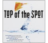 Top of the Spot 2007 - Various