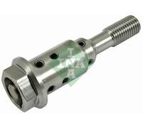 INA 427 0038 10 Central Valve, camshaft adjustment