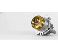 2x ✅Fits HEPU HEP21-5038 Control Valve, camshaft adjustment HEP21-50 ⭐UK Seller⭐