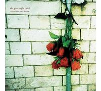The Pineapple Thief - Variations On A Dream