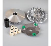 Variator Assembly compatible with Lexmoto Pegasus 300 Euro 5 TR300T-P-E5/Pegasus 300 TR300T-P, compatible with Mitt Mitt 330 GTS MITT330GTS