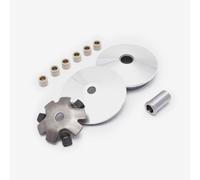 Variator compatible with Lexmoto Diablo50 Euro 5 LJ50QT-9M-E5/Diablo50 LJ50QT-9M/Echo+ 50 Euro 5 LJ50QT-6L-E5/Echo+ 50 LJ50QT-6L/Nano 50 LJ50QT-N