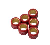 Variator Rollers Roller Weights 4g-7g 16x13mm Compatible With 8 50cc 2T 4T(4.5G)