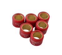 Variator Rollers Roller Weights 4g-7g 16x13mm Compatible With 8 50cc 2T 4T(4G)