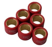 Variator Rollers Roller Weights 4g-7g 16x13mm Compatible With KymcoAgility50 B&W50 Dink50 FeverZx50 Like50 Mxer50 People/Sento50 50cc 2T 4T(5g)