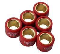 Variator Rollers Roller Weights 4g-7g 16x13mm Compatible With KymcoAgility50 B&W50 Dink50 FeverZx50 Like50 Mxer50 People/Sento50 50cc 2T 4T(6.5g)