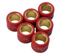 Variator Rollers Roller Weights 4g-7g 16x13mm Compatible With KymcoAgility50 B&W50 Dink50 FeverZx50 Like50 Mxer50 People/Sento50 50cc 2T 4T(6g)