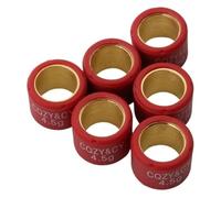 Variator Rollers Roller Weights 4g-7g 16x13mm Compatible With KymcoAgility50 B&W50 Dink50 FeverZx50 Like50 Mxer50 People/Sento50 50cc 2T 4T(4.5g)